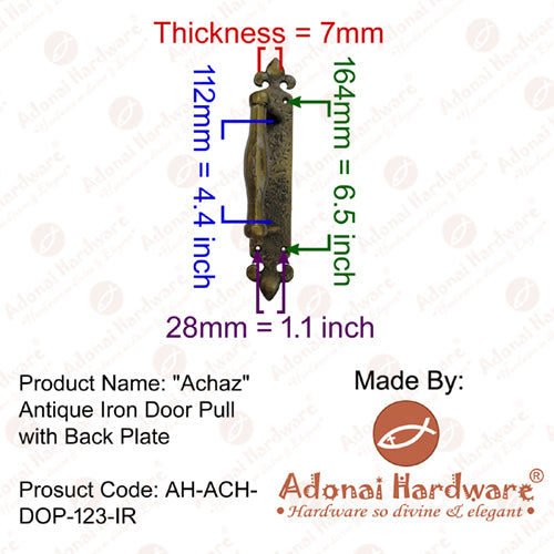 Achaz Iron Door Pull With Back Plate