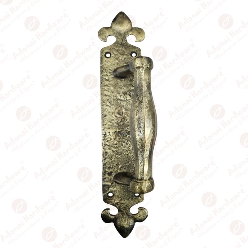 Achaz Iron Door Pull With Back Plate