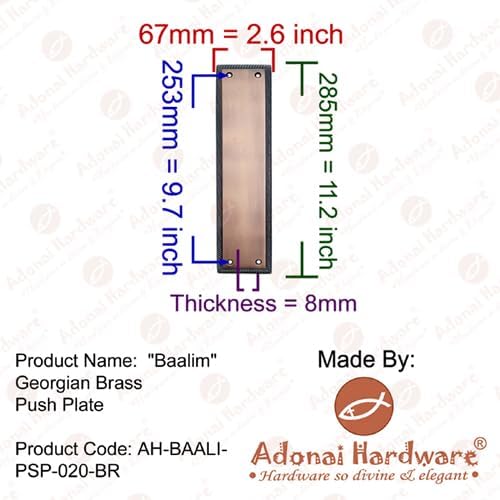 "Baalim" Brass Push Plate
