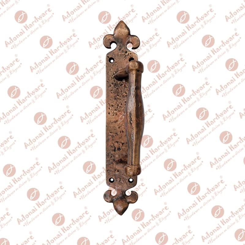Achaz Iron Door Pull With Back Plate