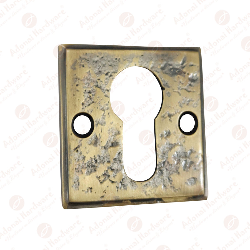 "Apphia" Brass Escutcheon