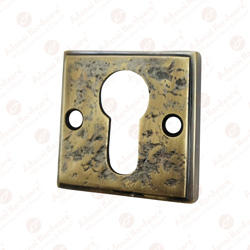 "Apphia" Brass Escutcheon
