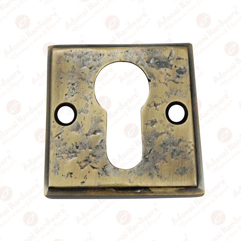 "Apphia" Brass Escutcheon