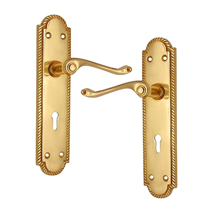 Buy "Enosh" Brass Door Handle with Plate-Premium Harware Products Online - Adonai Hardware