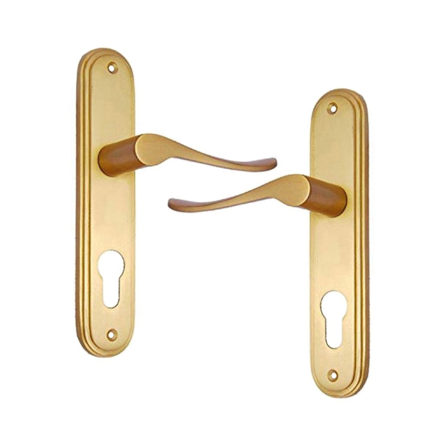 Buy "Gershom" Brass Door Handle with Plate-Premium Harware Products Online - Adonai Hardware