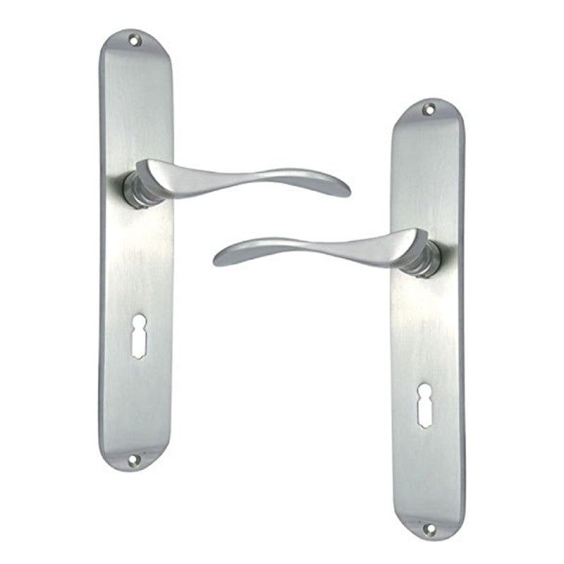 Buy "Hezekiah" Brass Door Handle with Plate-Premium Harware Products Online - Adonai Hardware