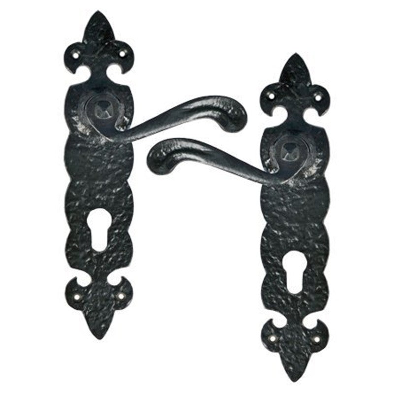 Buy "Jaasiel" Black Iron Door Handle with Plate-Premium Harware Products Online - Adonai Hardware