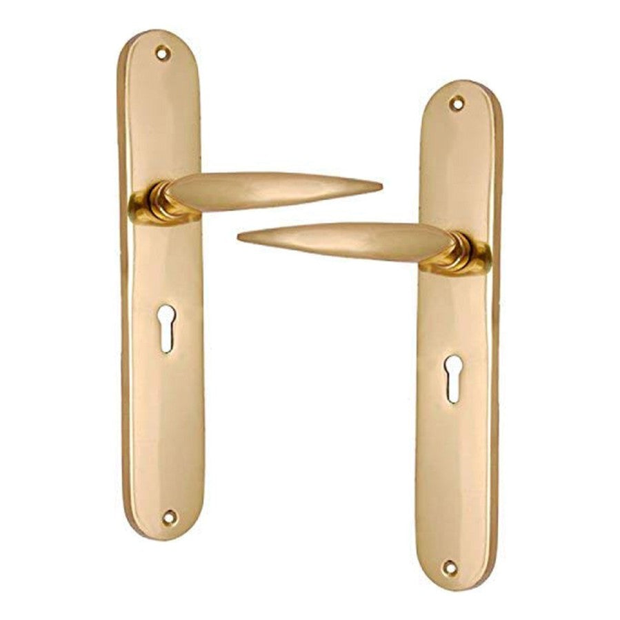 Buy "Jehoram" Brass Door Handle with Plate-Premium Harware Products Online - Adonai Hardware