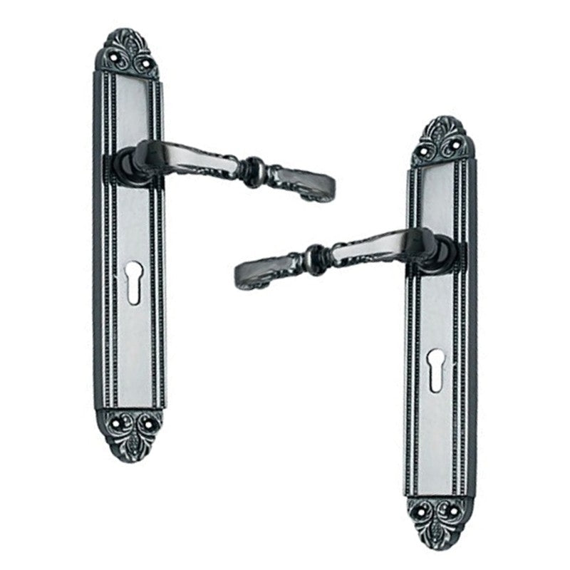 Buy "Judah" Brass Door Handle with Plate-Premium Harware Products Online - Adonai Hardware