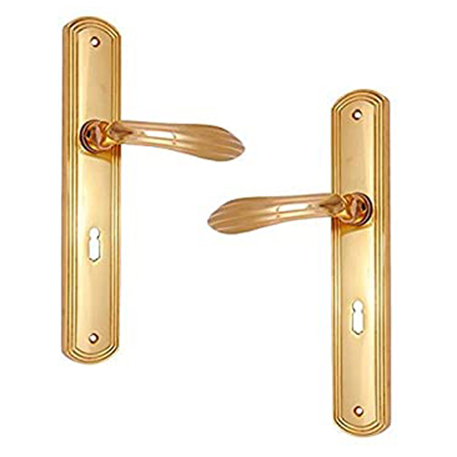 Buy "Lamech" Brass Door Handle with Plate-Premium Harware Products Online - Adonai Hardware