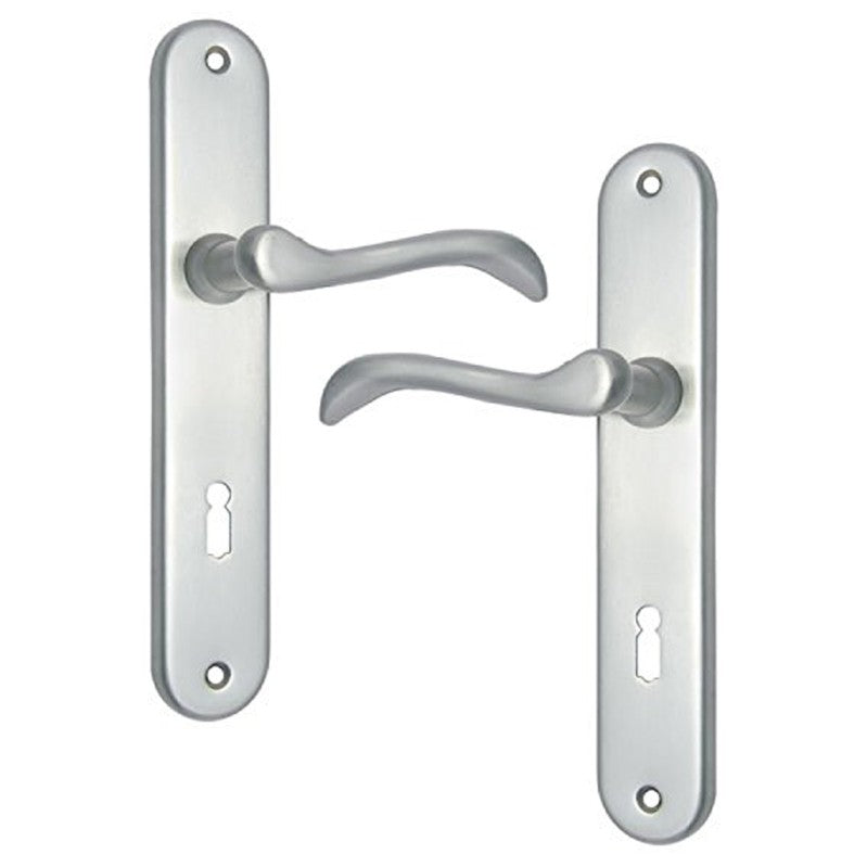 Buy "Manasseh" Brass Door Handle with Plate-Premium Harware Products Online - Adonai Hardware