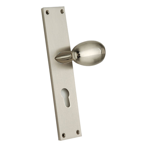 Buy "Achish" Zinc Handle with Back Plate-Premium Harware Products Online - Adonai Hardware