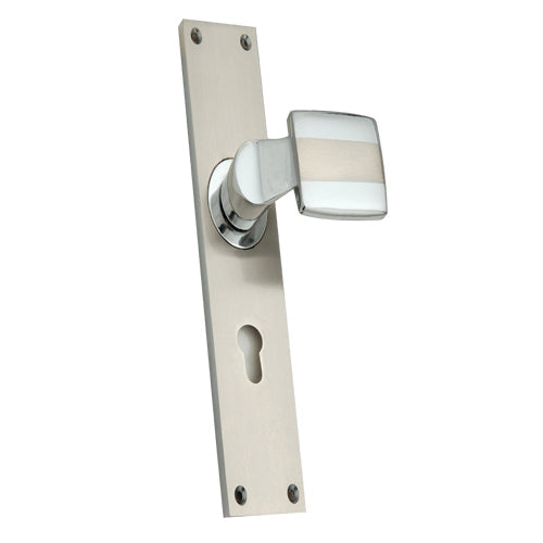 Buy "Bichri" Zinc Handle with Back Plate-Premium Harware Products Online - Adonai Hardware
