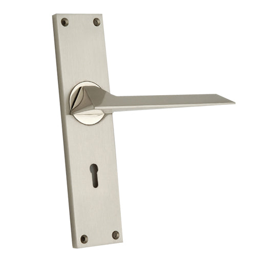 Buy "Caiaphas" Zinc Handle with Back Plate-Premium Harware Products Online - Adonai Hardware