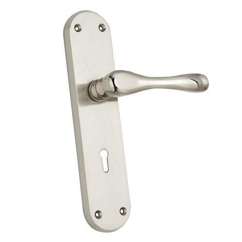 Buy "Haahashtari" Zinc Handle with Back Plate-Premium Harware Products Online - Adonai Hardware