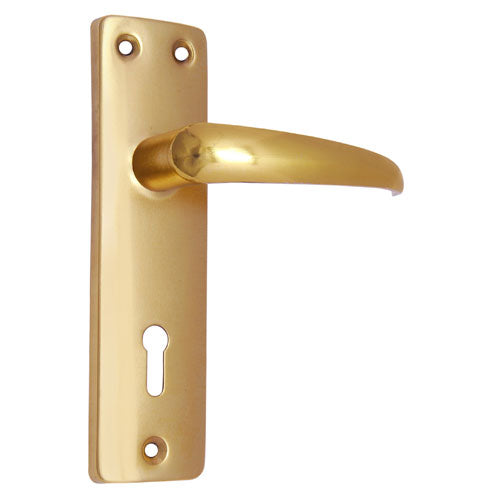 Buy "Joseph" Iron Door Handle with Plate-Premium Harware Products Online - Adonai Hardware