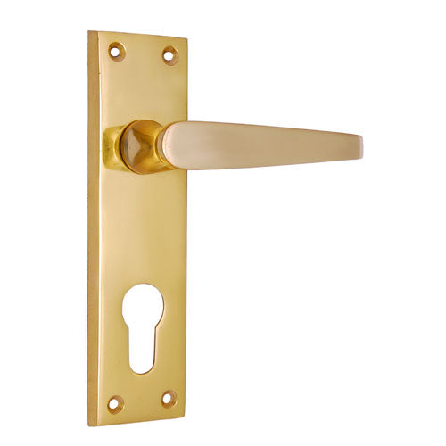 Buy "Rehoboam" Brass Door Handle with Plate-Premium Harware Products Online - Adonai Hardware