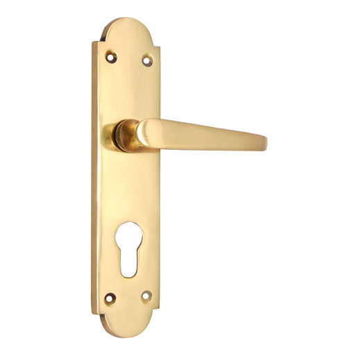 Buy "Salmon" Brass Door Handle with Plate-Premium Harware Products Online - Adonai Hardware