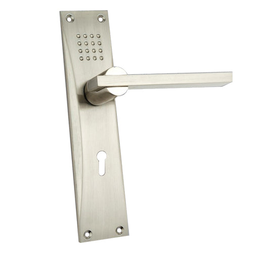 Buy "Sanballat" Zinc Handle with Back Plate-Premium Harware Products Online - Adonai Hardware