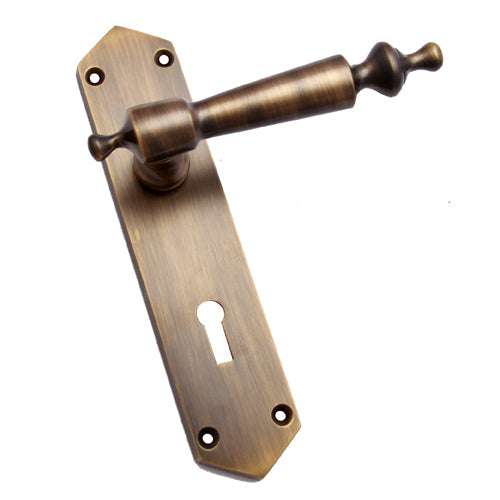 Buy "Segub" Brass Door Handle with Plate-Premium Harware Products Online - Adonai Hardware