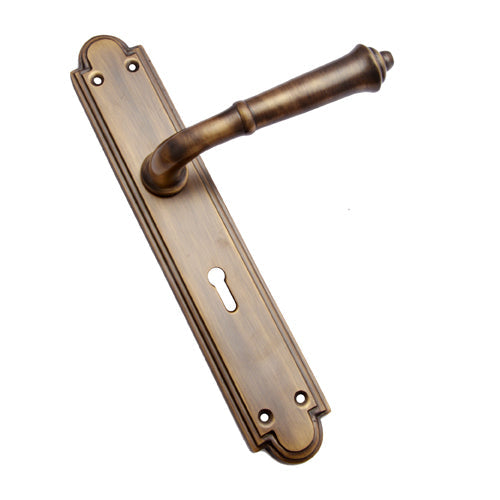 Buy "Sela" Brass Door Handle with Plate-Premium Harware Products Online - Adonai Hardware