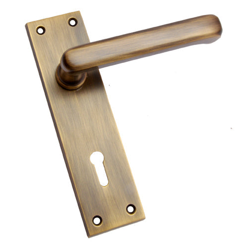 Buy "Semachiah" Brass Door Handle with Plate-Premium Harware Products Online - Adonai Hardware