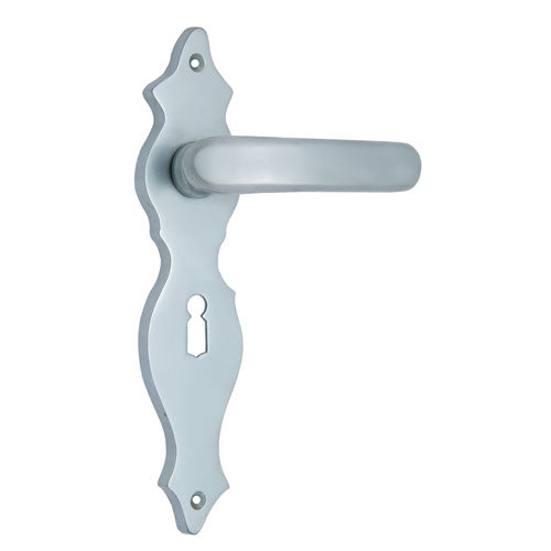 Buy "Seth" Brass Door Handle with Plate-Premium Harware Products Online - Adonai Hardware