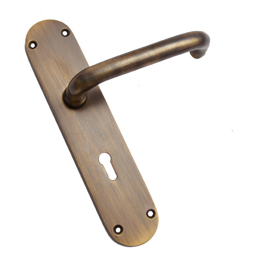 Buy "Shaalbim" Brass Door Handle with Plate-Premium Harware Products Online - Adonai Hardware