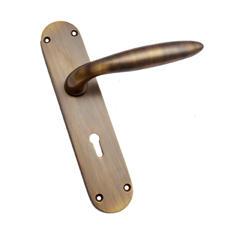Buy "Shachia" Brass Door Handle with Plate-Premium Harware Products Online - Adonai Hardware