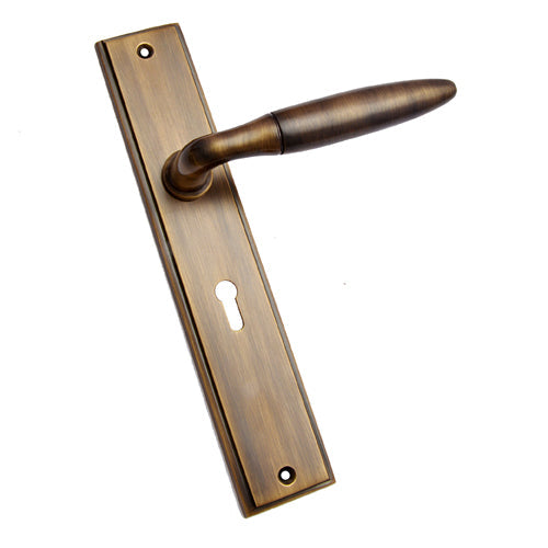 Buy "Shallum" Brass Door Handle with Plate-Premium Harware Products Online - Adonai Hardware