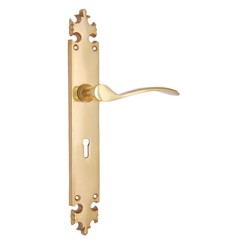 Buy "Shebuel" Brass Door Handle with Plate-Premium Harware Products Online - Adonai Hardware
