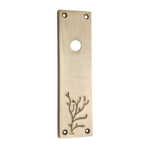 Buy "Shemiramoth" Brass Back Plate-Premium Harware Products Online - Adonai Hardware