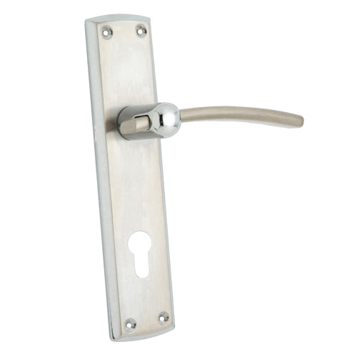 Buy "Zadok" Zinc Handle with Back Plate-Premium Harware Products Online - Adonai Hardware