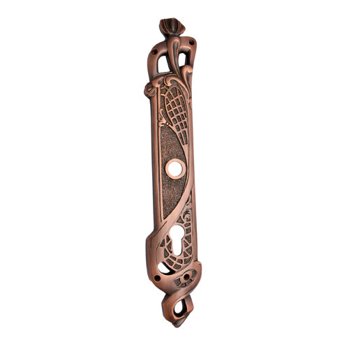 Buy "Zamzummims" Brass Back Plate-Premium Harware Products Online - Adonai Hardware