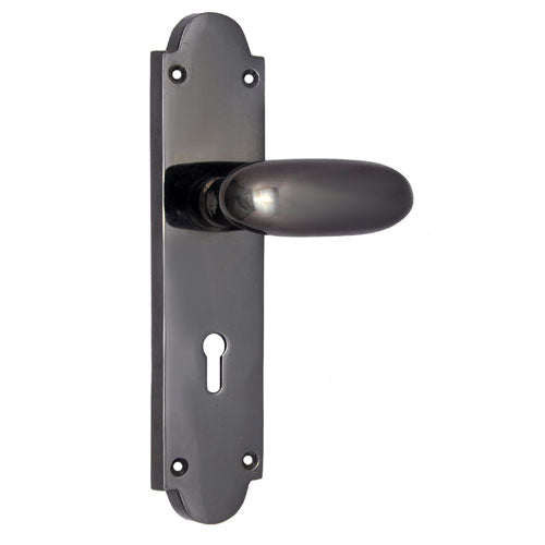 Buy "Zia" Brass Door Handle with Plate-Premium Harware Products Online - Adonai Hardware